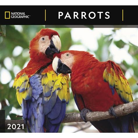 parrots national geographic 2016 wall calendar Epub